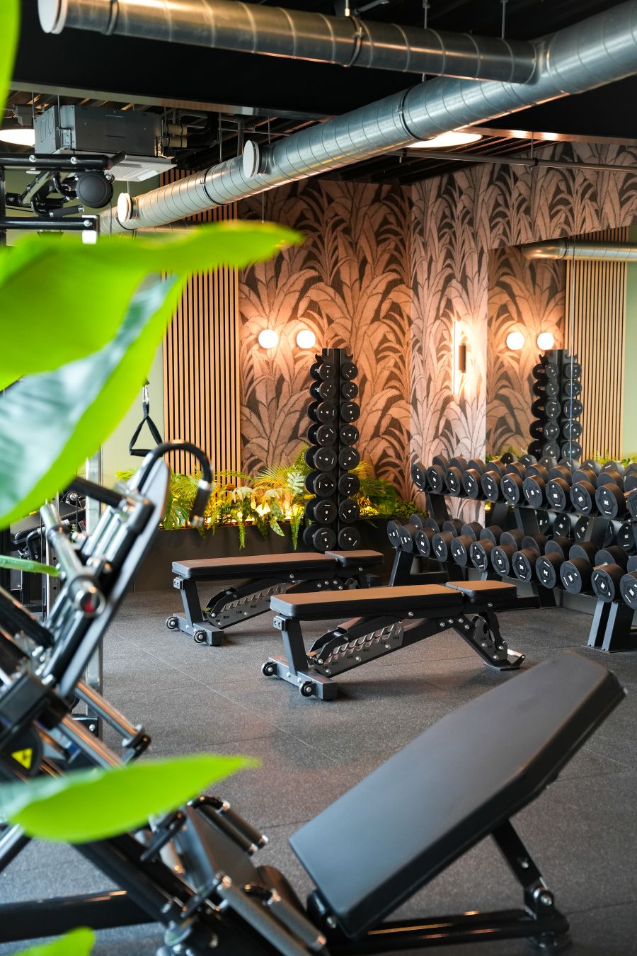 Fitnessruimte in Vlaardingen